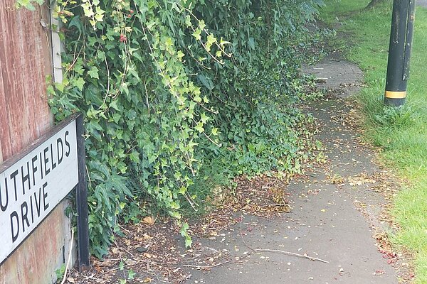 The paventment on Southfields Drive which has significantly overgrown